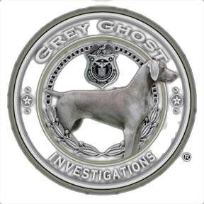 Grey Ghost - Private Investigator Miami