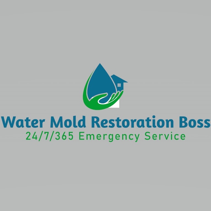 Water Mold Restoration Boss of Miami